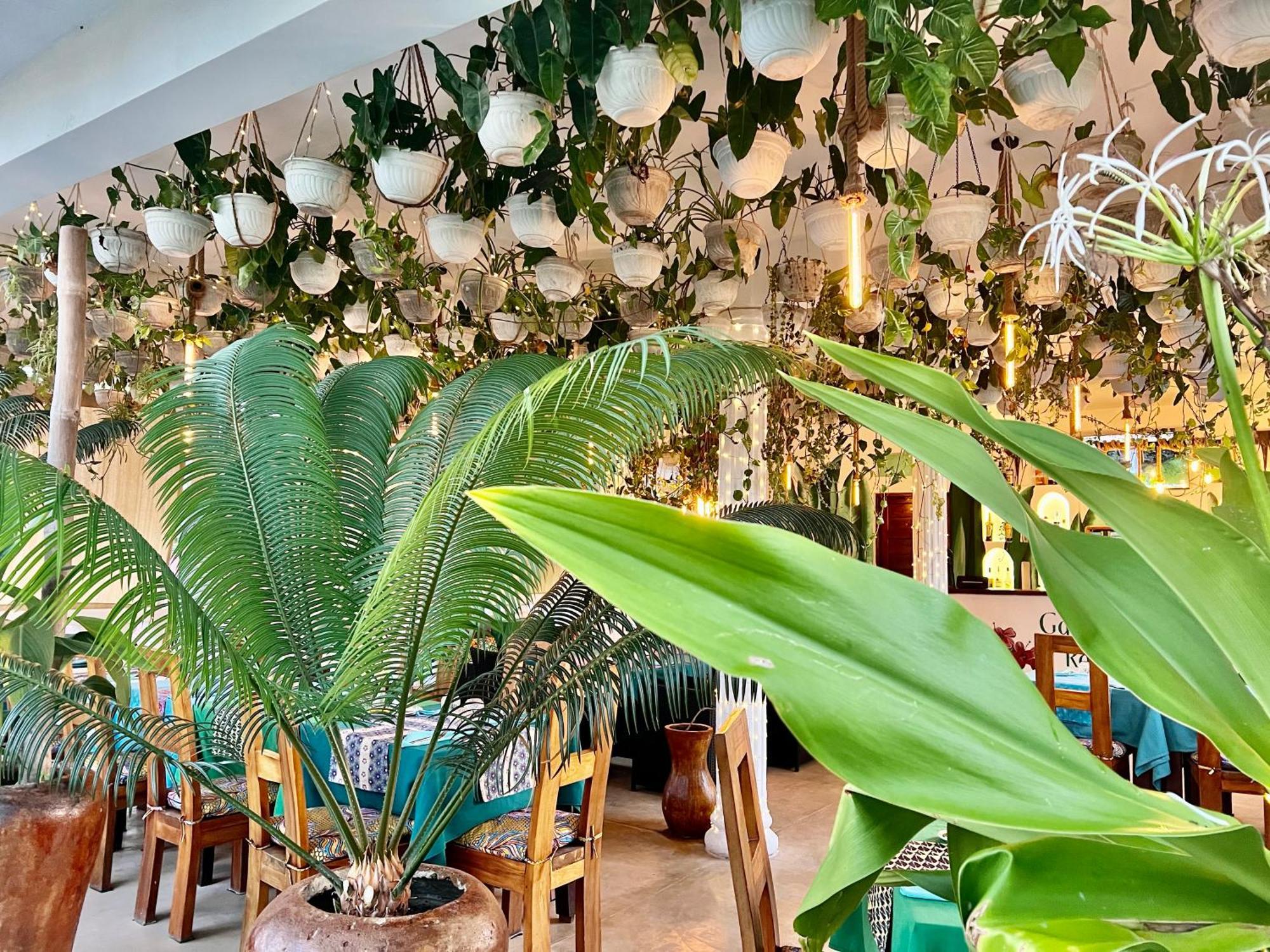Gadea Boutique Hotel& Gadea Garden Italian Restaurant (Adults Only) Jambiani  Εξωτερικό φωτογραφία