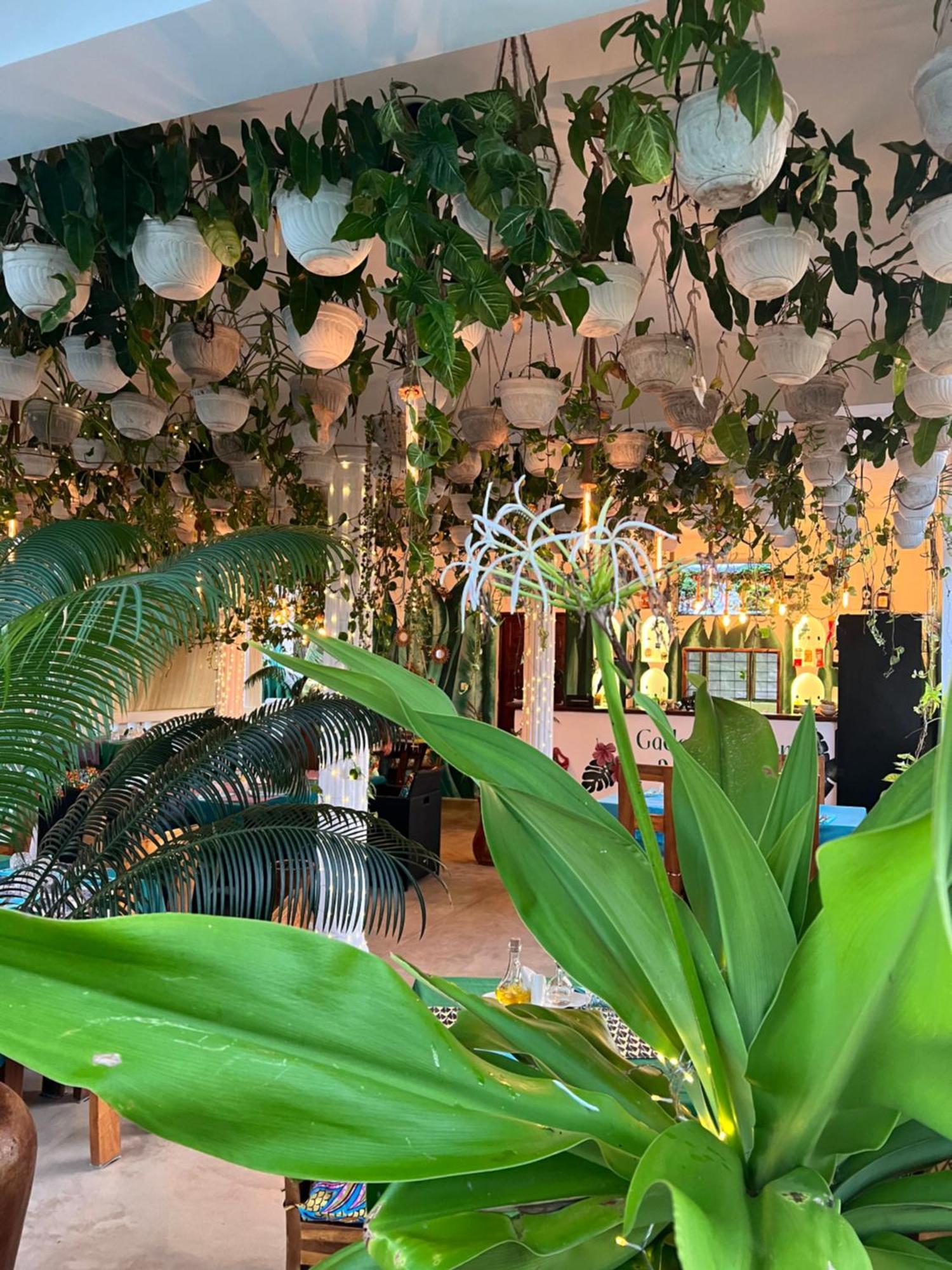 Gadea Boutique Hotel& Gadea Garden Italian Restaurant (Adults Only) Jambiani  Εξωτερικό φωτογραφία